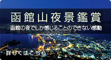 人気函館観光コース