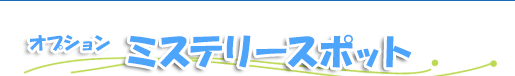 オプション - ミステリースポット