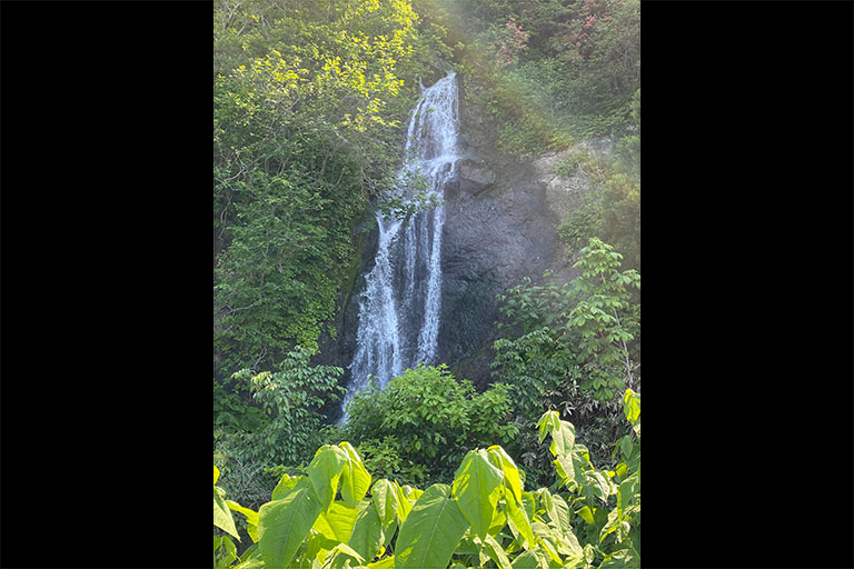 三味線滝